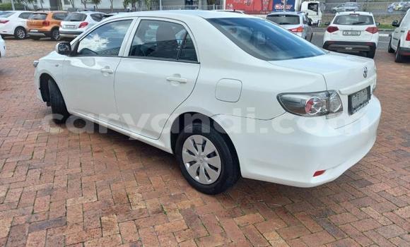 Buy Used Toyota Corolla White Car in Lusaka in Zambia Buy Used Toyota Corolla White Car in Lusaka in Zambia