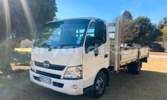 Buy Used Hino 300 Series White Truck in Lusaka in Zambia Buy Used Hino 300 Series White Truck in Lusaka in Zambia