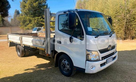 Buy Used Hino 300 Series White Truck in Lusaka in Zambia Buy Used Hino 300 Series White Truck in Lusaka in Zambia