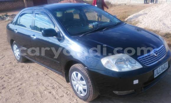 Tenga Tsaru Toyota 4Runner Nhema Mota in Chipata in Zambia Tenga Tsaru Toyota 4Runner Nhema Mota in Chipata in Zambia