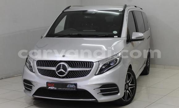 Tenga Tsaru Mercedes-Benz E-Classe Sirivha Mota in Lusaka in Zambia Tenga Tsaru Mercedes-Benz E-Classe Sirivha Mota in Lusaka in Zambia