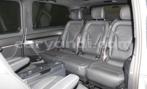 Tenga Tsaru Mercedes-Benz E-Classe Sirivha Mota in Lusaka in Zambia Tenga Tsaru Mercedes-Benz E-Classe Sirivha Mota in Lusaka in Zambia