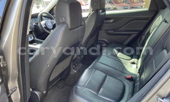 Buy Used Jaguar F-Pace Silver Car in Lusaka in Zambia Buy Used Jaguar F-Pace Silver Car in Lusaka in Zambia