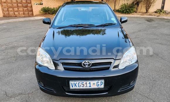 Acheter Occasion Voiture Toyota Runx Noir à Chilanga, Lusaka Acheter Occasion Voiture Toyota Runx Noir à Chilanga, Lusaka