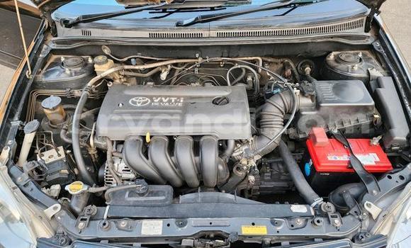 Nunua Ilio tumika Toyota Runx Nyeusi Gari ndani ya Chilanga nchini Lusaka Nunua Ilio tumika Toyota Runx Nyeusi Gari ndani ya Chilanga nchini Lusaka