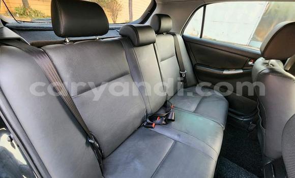 Nunua Ilio tumika Toyota Runx Nyeusi Gari ndani ya Chilanga nchini Lusaka Nunua Ilio tumika Toyota Runx Nyeusi Gari ndani ya Chilanga nchini Lusaka