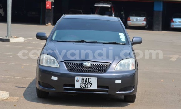 Nunua Ilio tumika Toyota Runx Nyingine Gari ndani ya Lusaka nchini Zambia Nunua Ilio tumika Toyota Runx Nyingine Gari ndani ya Lusaka nchini Zambia