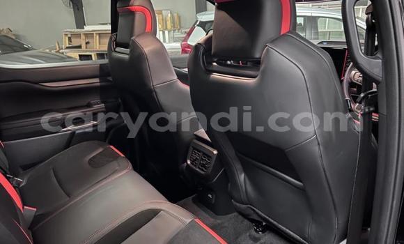 Tenga Tsaru Ford Ranger Nhema Mota in Livingstone in Zambia Tenga Tsaru Ford Ranger Nhema Mota in Livingstone in Zambia