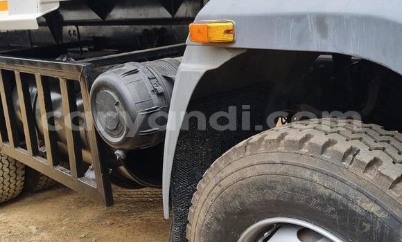 Tenga Tsaru Man TGX Chena Rori in Lusaka in Zambia Tenga Tsaru Man TGX Chena Rori in Lusaka in Zambia