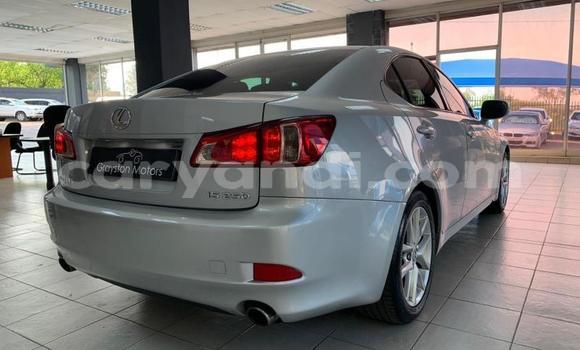 Buy Used Lexus IS Silver Car in Lusaka in Zambia Buy Used Lexus IS Silver Car in Lusaka in Zambia