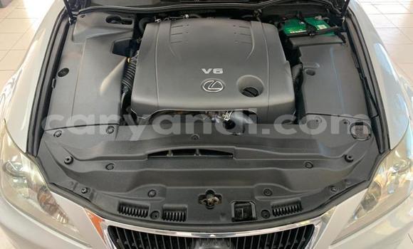 Buy Used Lexus IS Silver Car in Lusaka in Zambia Buy Used Lexus IS Silver Car in Lusaka in Zambia