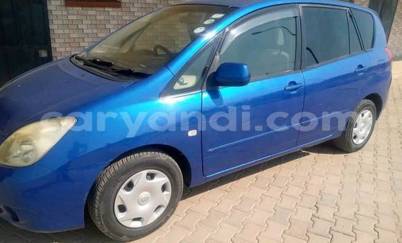 Buy Used Toyota Spacio Blue Car in Lusaka in Zambia Buy Used Toyota Spacio Blue Car in Lusaka in Zambia