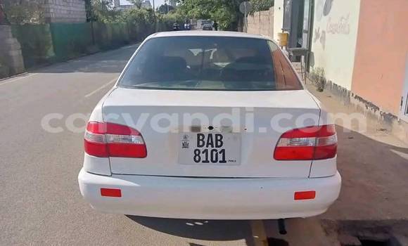 Buy Used Toyota Corolla White Car in Lusaka in Zambia Buy Used Toyota Corolla White Car in Lusaka in Zambia