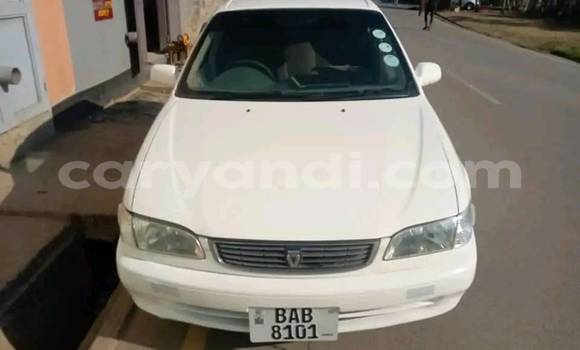 Buy Used Toyota Corolla White Car in Lusaka in Zambia Buy Used Toyota Corolla White Car in Lusaka in Zambia