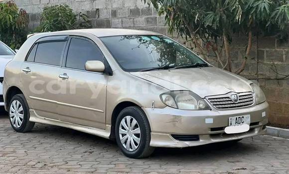 Buy Used Toyota Runx Other Car in Lusaka in Zambia Buy Used Toyota Runx Other Car in Lusaka in Zambia