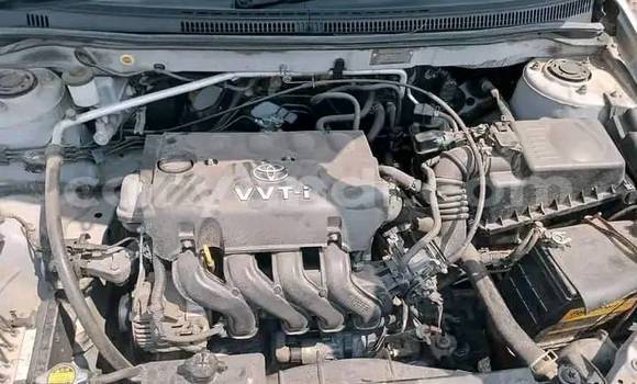 Buy Used Toyota Runx Other Car in Lusaka in Zambia Buy Used Toyota Runx Other Car in Lusaka in Zambia