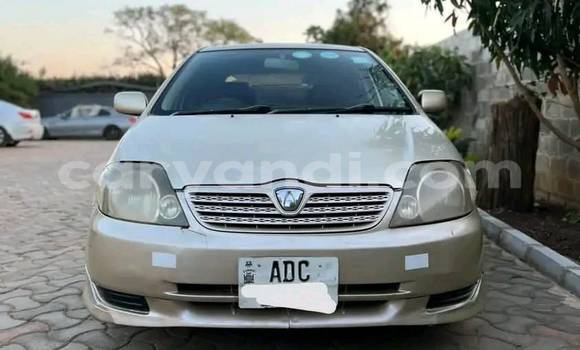 Buy Used Toyota Runx Other Car in Lusaka in Zambia Buy Used Toyota Runx Other Car in Lusaka in Zambia