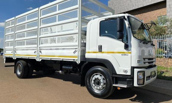 Buy Used Isuzu FTR 850 White Truck in Lusaka in Zambia