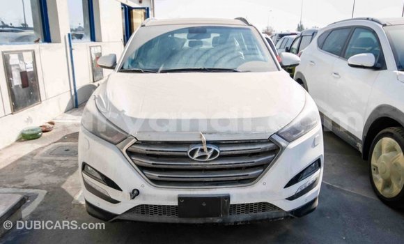 Acheter Import Voiture Hyundai Tucson Blanc à Import - Dubai, Zambie Acheter Import Voiture Hyundai Tucson Blanc à Import - Dubai, Zambie