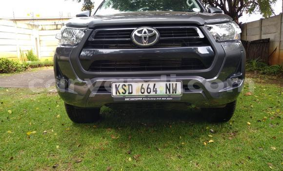 Tenga Tsaru Toyota Hilux Sirivha Mota in Chilanga in Lusaka Tenga Tsaru Toyota Hilux Sirivha Mota in Chilanga in Lusaka