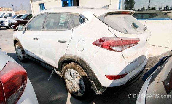 Acheter Import Voiture Hyundai Tucson Blanc à Import - Dubai, Zambie Acheter Import Voiture Hyundai Tucson Blanc à Import - Dubai, Zambie