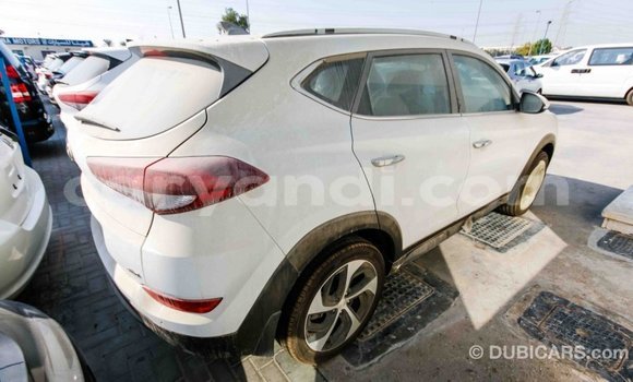 Acheter Import Voiture Hyundai Tucson Blanc à Import - Dubai, Zambie Acheter Import Voiture Hyundai Tucson Blanc à Import - Dubai, Zambie