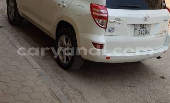 Buy Used Toyota RAV4 White Car in Lusaka in Zambia Buy Used Toyota RAV4 White Car in Lusaka in Zambia