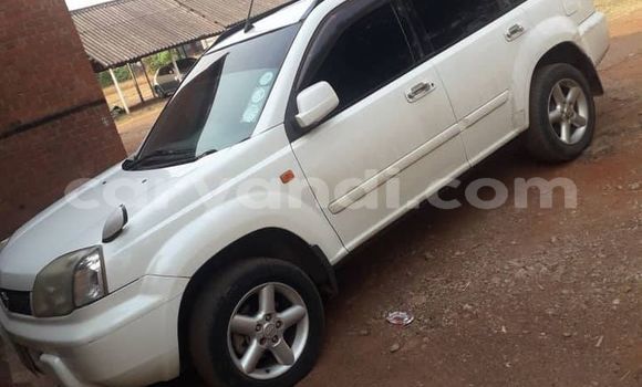 Buy Used Nissan X–Trail White Car in Lusaka in Zambia Buy Used Nissan X–Trail White Car in Lusaka in Zambia