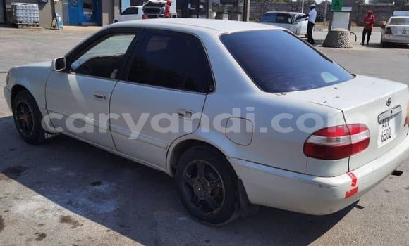Buy Used Toyota Corolla White Car in Lusaka in Zambia