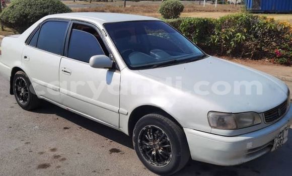 Buy Used Toyota Corolla White Car in Lusaka in Zambia Buy Used Toyota Corolla White Car in Lusaka in Zambia