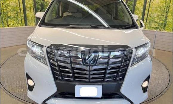 Buy Used Toyota Alphard White Car in Lusaka in Zambia Buy Used Toyota Alphard White Car in Lusaka in Zambia