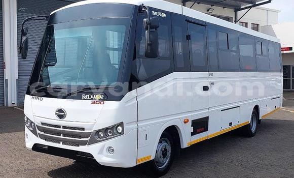 Buy Used Hino 300 Series White Truck in Lusaka in Zambia