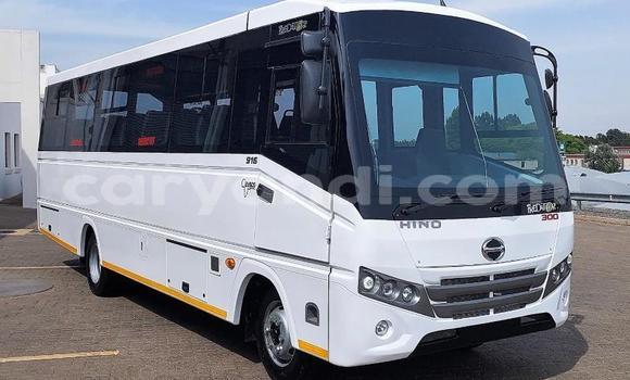 Buy Used Hino 300 Series White Truck in Lusaka in Zambia Buy Used Hino 300 Series White Truck in Lusaka in Zambia