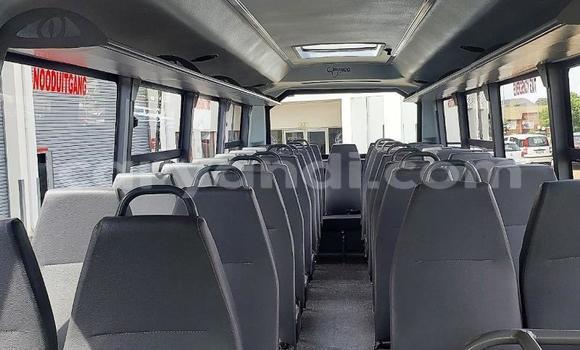 Buy Used Hino 300 Series White Truck in Lusaka in Zambia Buy Used Hino 300 Series White Truck in Lusaka in Zambia