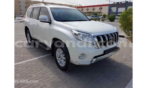 Buy Import Toyota Prado White Car in Import - Dubai in Zambia Buy Import Toyota Prado White Car in Import - Dubai in Zambia