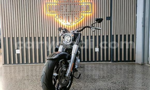 Tenga Tsaru Harley Davidson Road King Zvimwe Bike in Lusaka in Zambia Tenga Tsaru Harley Davidson Road King Zvimwe Bike in Lusaka in Zambia