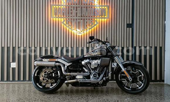 Tenga Tsaru Harley Davidson Road King Zvimwe Bike in Lusaka in Zambia Tenga Tsaru Harley Davidson Road King Zvimwe Bike in Lusaka in Zambia