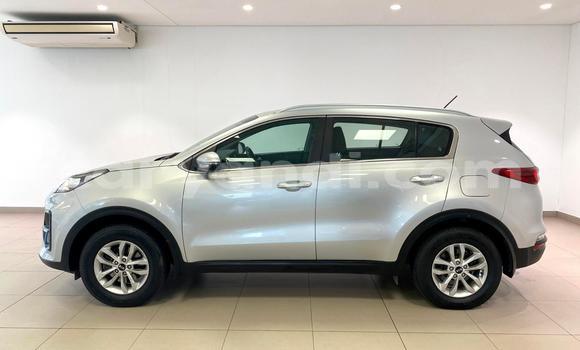 Tenga Tsaru Kia Sportage Sirivha Mota in Lusaka in Zambia Tenga Tsaru Kia Sportage Sirivha Mota in Lusaka in Zambia