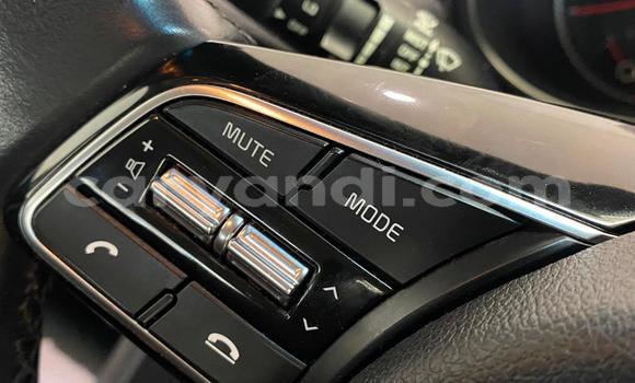 Tenga Tsaru Kia Sportage Sirivha Mota in Lusaka in Zambia Tenga Tsaru Kia Sportage Sirivha Mota in Lusaka in Zambia