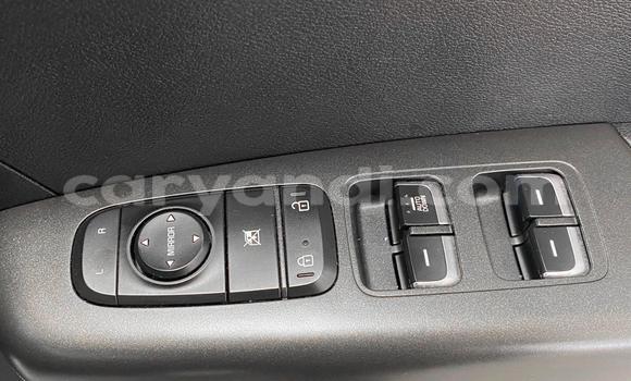 Tenga Tsaru Kia Sportage Sirivha Mota in Lusaka in Zambia Tenga Tsaru Kia Sportage Sirivha Mota in Lusaka in Zambia