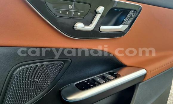 Tenga Tsaru Mercedes‒Benz C–Class Chena Mota in Lusaka in Zambia Tenga Tsaru Mercedes‒Benz C–Class Chena Mota in Lusaka in Zambia