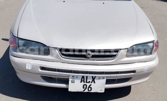 Tenga Tsaru Toyota Corolla Zvimwe Mota in Lusaka in Zambia Tenga Tsaru Toyota Corolla Zvimwe Mota in Lusaka in Zambia