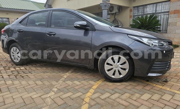 Buy New Toyota Corolla Other Car in Lusaka in Zambia Buy New Toyota Corolla Other Car in Lusaka in Zambia