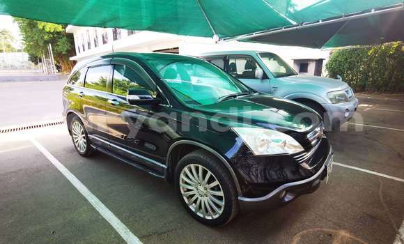 ☆ Cars for sale in zambia - caryandi