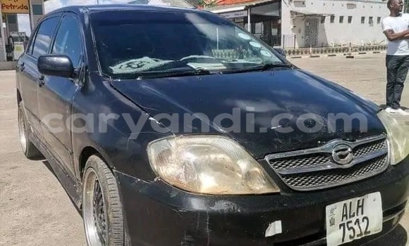 Acheter Occasion Voiture Toyota Runx Noir à Chipata, Zambie Acheter Occasion Voiture Toyota Runx Noir à Chipata, Zambie