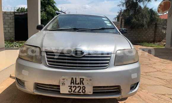 Acheter Occasion Voiture Toyota Corolla Autre à Chililabombwe, Copperbelt Acheter Occasion Voiture Toyota Corolla Autre à Chililabombwe, Copperbelt