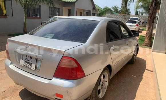 Acheter Occasion Voiture Toyota Corolla Autre à Chililabombwe, Copperbelt Acheter Occasion Voiture Toyota Corolla Autre à Chililabombwe, Copperbelt