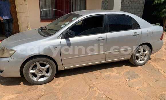 Acheter Occasion Voiture Toyota Corolla Autre à Chililabombwe, Copperbelt Acheter Occasion Voiture Toyota Corolla Autre à Chililabombwe, Copperbelt