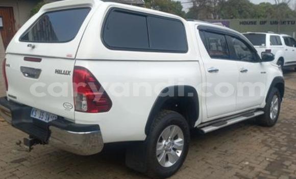 Tenga Tsaru Toyota Hilux Chena Mota in Chilanga in Lusaka Tenga Tsaru Toyota Hilux Chena Mota in Chilanga in Lusaka