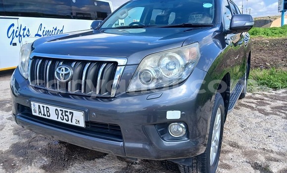 Tenga Tsaru Toyota Prado Nhema Mota in Lusaka in Zambia